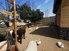 -HERRE·FARM 赫尔露营农场·团建聚会包场