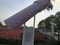 -荷兰花海