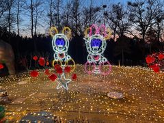 -青龙湖公园