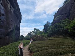-武夷山风景名胜区-虎啸岩