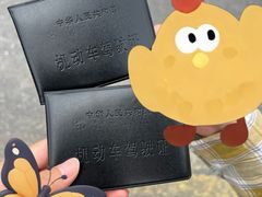 -光明驾校·学车·陪驾(川沙店)