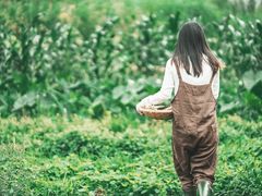 -三圣花乡旅游区