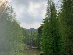 -云溪植物园