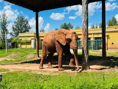 -哈尔滨北方森林动物园