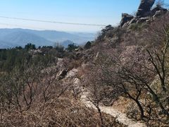 -北京鹫峰国家森林公园