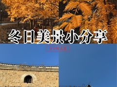 -白水寺森林公园