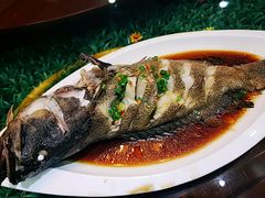 -登瀛楼饭庄(领世郡店)
