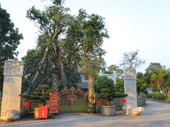 -国恩寺