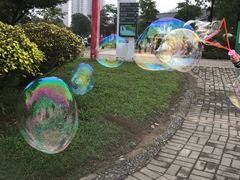 -飞来湖湿地公园