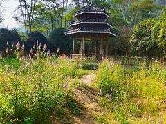 -九屋西岭生态度假景区