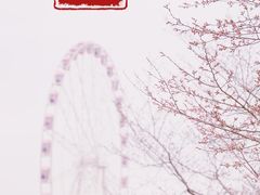 -顾村公园3号门停车场