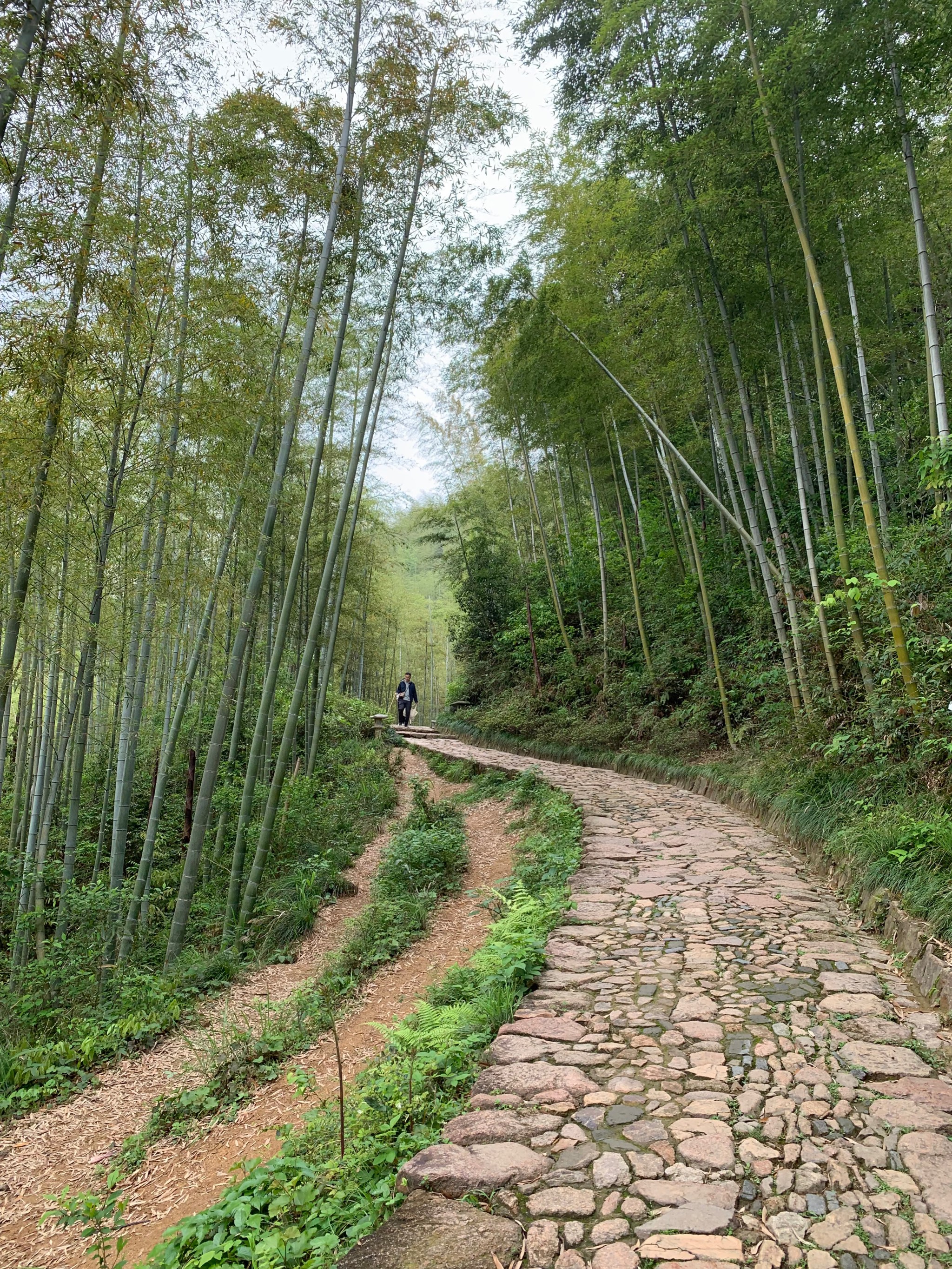 杭州径山风景区图片