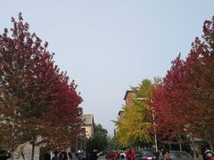 -辽宁大学(崇山校区)