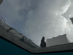 -金泽21世纪美术馆