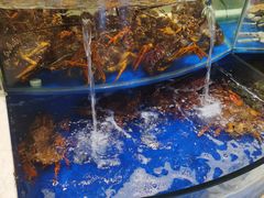 -海景壹号大酒店(滨湖店)