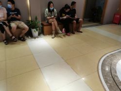 -杭州复旦儿童医院·语言发育迟缓·自闭症干预·注意力训练