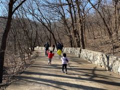 -北京鹫峰国家森林公园