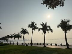 -观澳平台