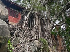 -乌山风景区