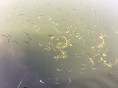 -太湖湖滨国家湿地公园-停车场