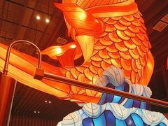 -天辣(金桥啦啦宝都店)