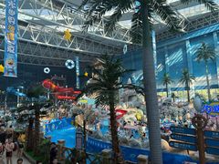 -青岛东方影都融创水世界