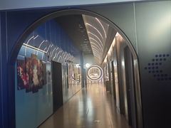 -万达影城(汉街万达广场IMAX店)