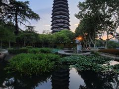 -红梅公园