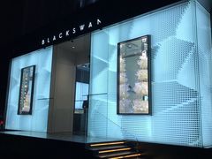 -BLACKSWAN黑天鹅(环球店)