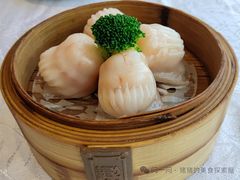 -老广新意(奥园店)