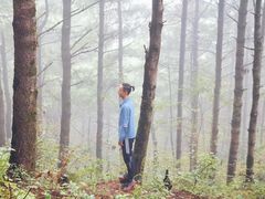 -苍山感通索道