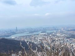 -紫金山山顶公园