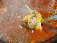 -石灰市毛记烧鸡公(解放碑店)