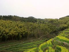 -灵山景区梯田
