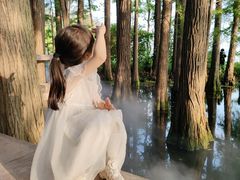 -东湖落雁景区