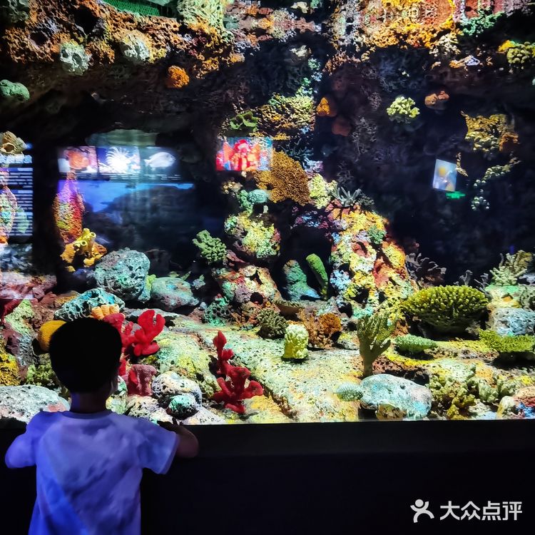 魔都探店：午后的上海海洋水族馆很好逛