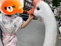 -巢湖名吃·东关老鹅汤(江南风情街店)