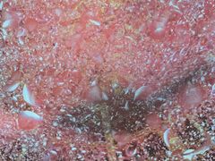 -芜湖方特东方神画