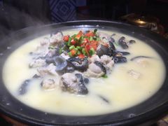 -印象鲵宴·张家界地标美食名片(溪布街店)