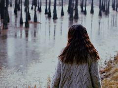 -白鹭湾湿地公园