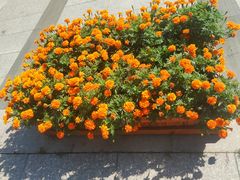 -北京师范大学邱季端体育馆