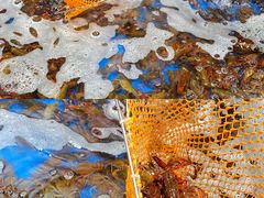 -盒马鲜生(曜一城店)