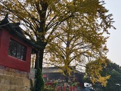 -佛荫寺