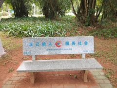 -万绿园