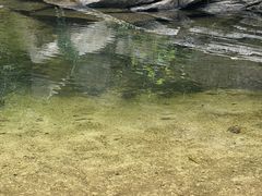-黑龙潭风景区