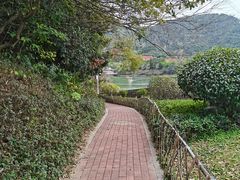 -水濂山森林公园