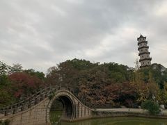 -江心屿景区