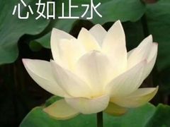 -恐怖游戏(湖滨店)