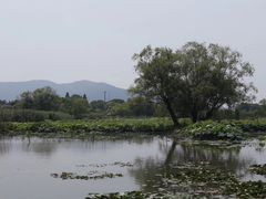 -长兴太湖图影湿地文化园