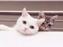 -糖果KTV(雍和宫店)